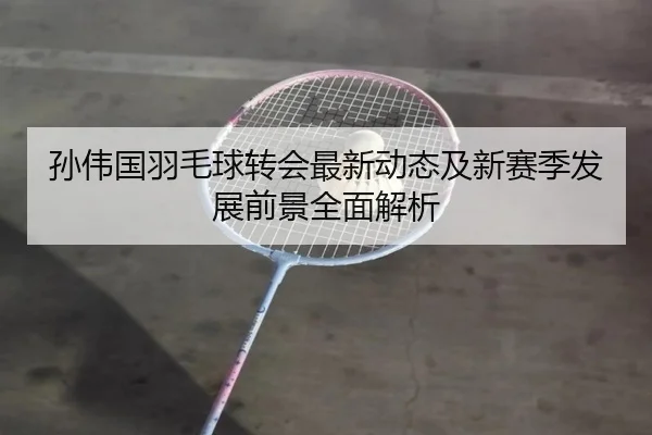 孙伟国羽毛球转会最新动态及新赛季发展前景全面解析